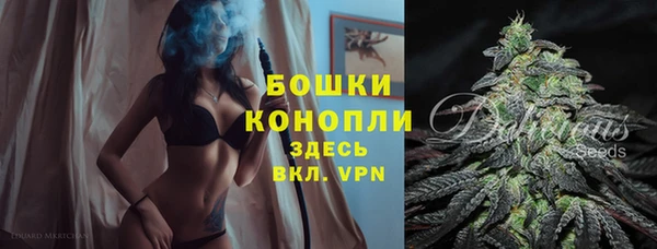 стаф Майский