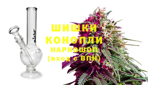 PSILOCYBIN Магас