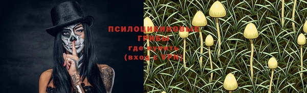 стаф Майский