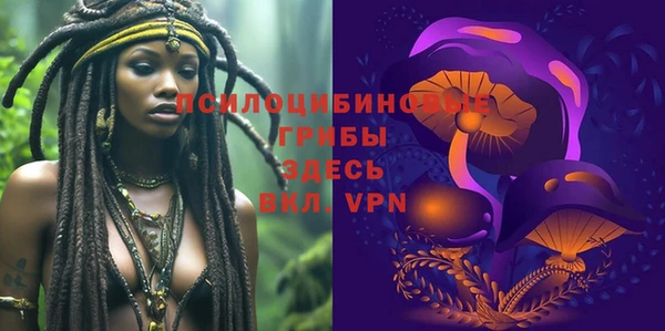 стаф Майский