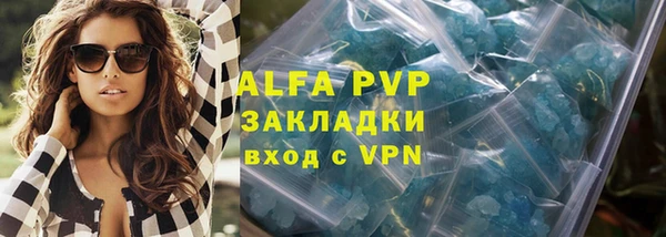 PSILOCYBIN Магас