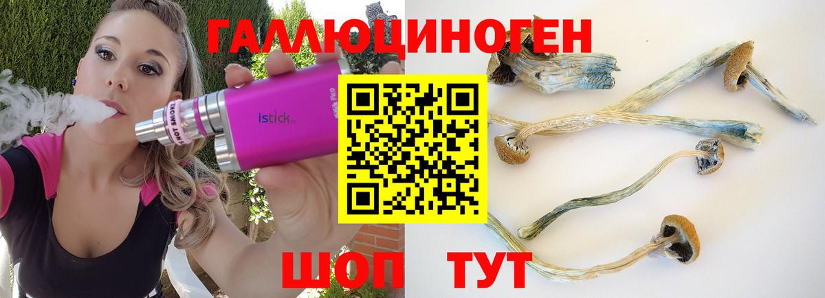 Минусинск  Галлюциногенные грибы Psilocybine cubensis  Галлюциногенные грибы мухоморы  Вход с VPN 